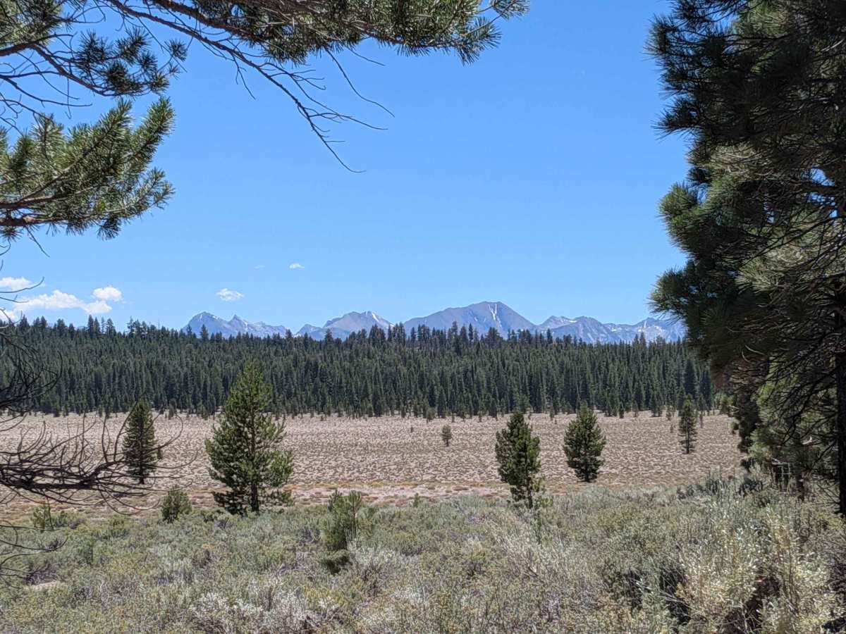 Forest Service Road 2S123 photo 3