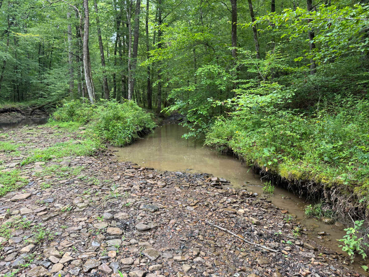 Bear Branch photo 6