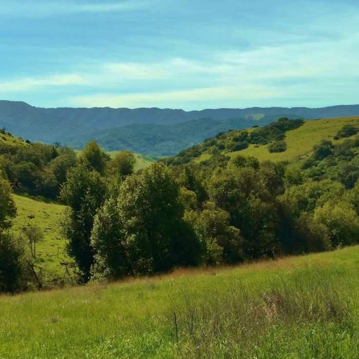 Near Fortini Trail