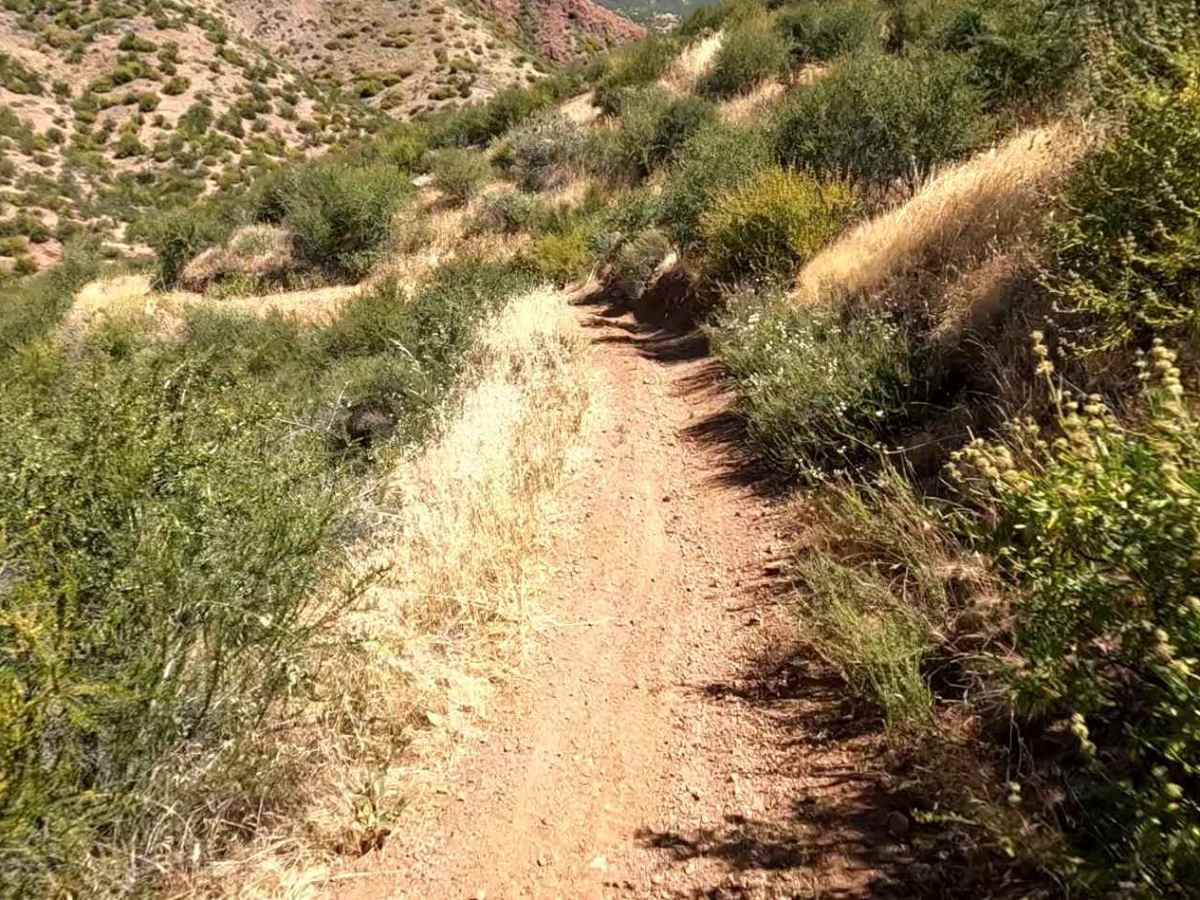 Texas OHV Trail photo 4