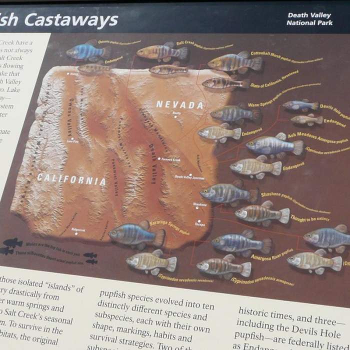 Near Salt Creek Interpretive Trail