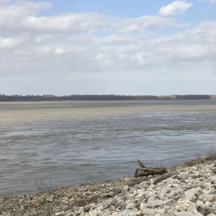 The mighty Mississippi flows beside the trail in Tunica River Park. Near Tunica River Park