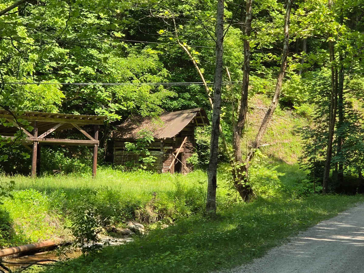 upper teges photo 2