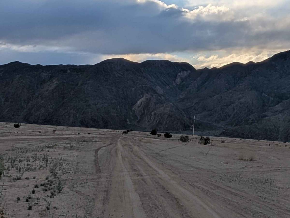 BLM 199 photo 4