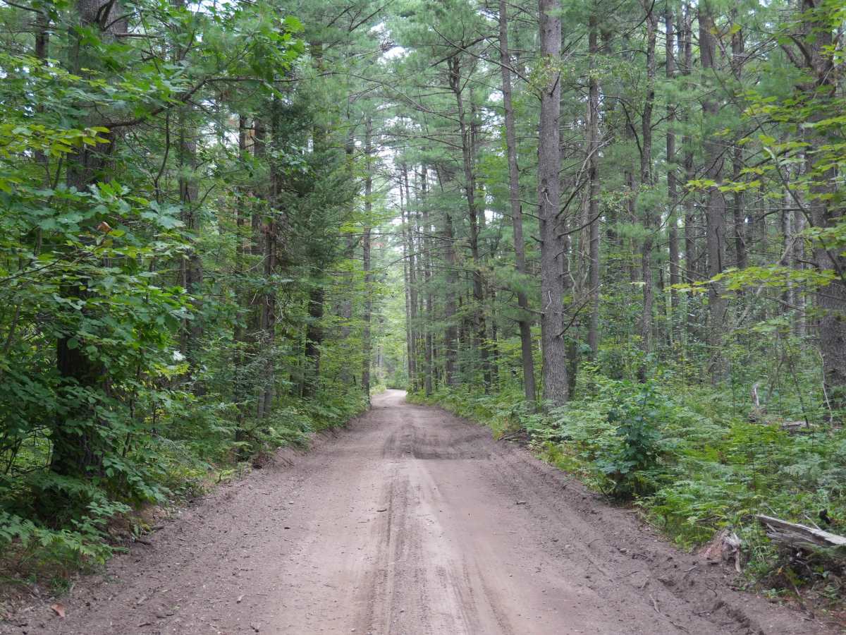 Sawdust Pile Trail photo 5