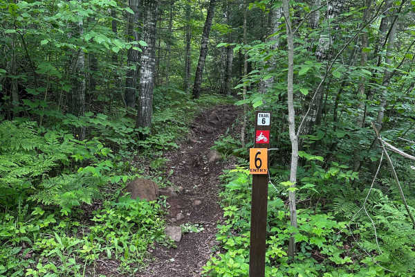 Alger Grade - Trail 6
