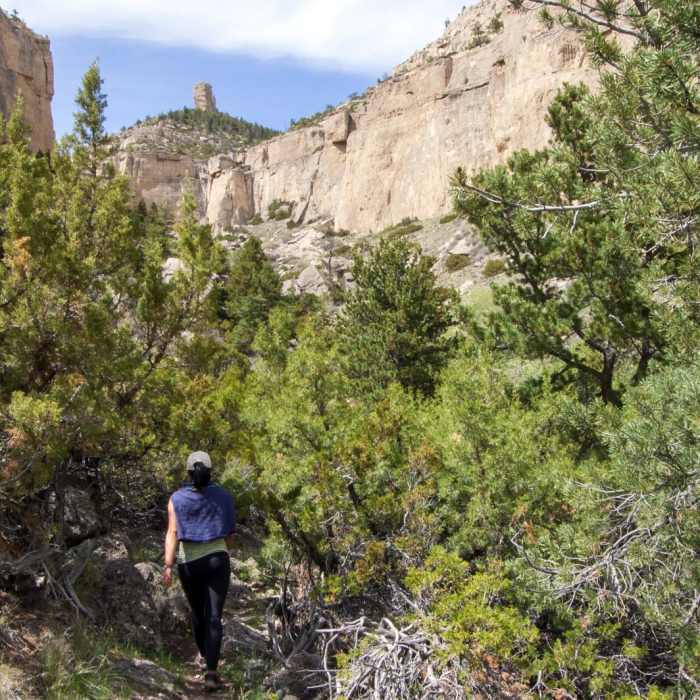 Near Upper Layout Creek Trail