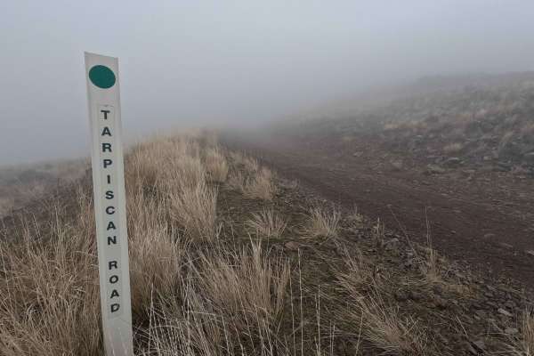 Tarpiscan Road