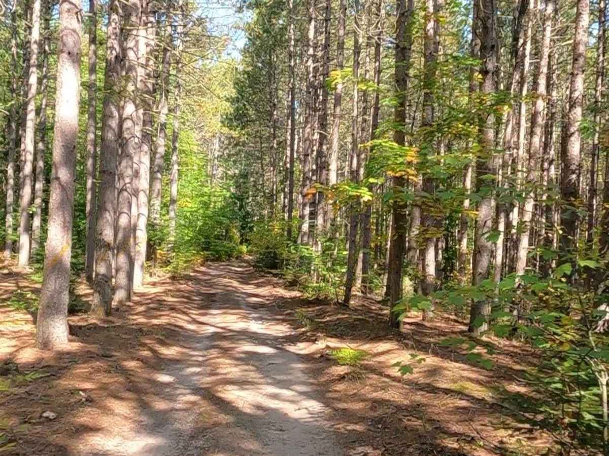 27 Mile Road - FS 3704 trail photo