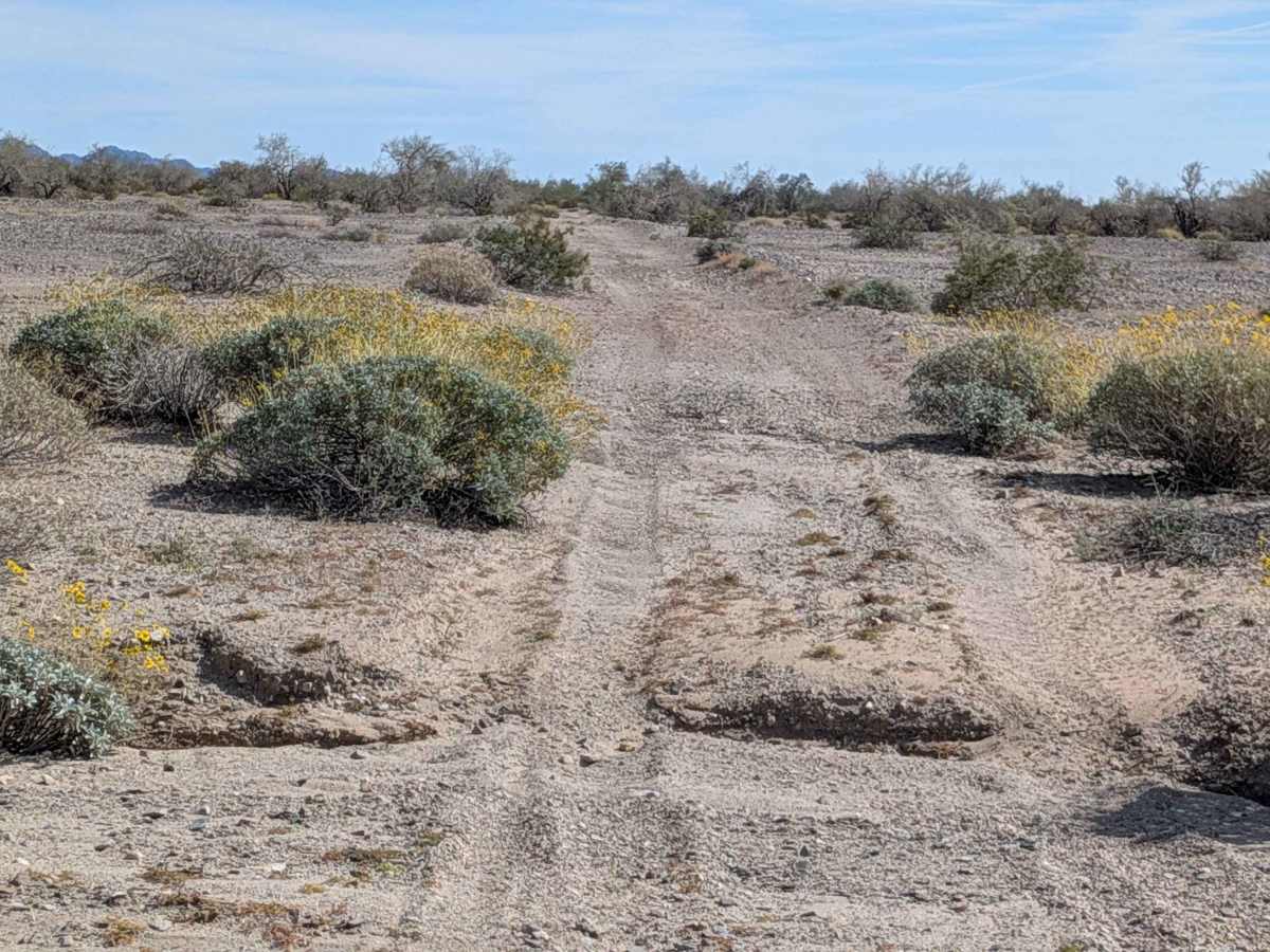 BLM 618 photo 6