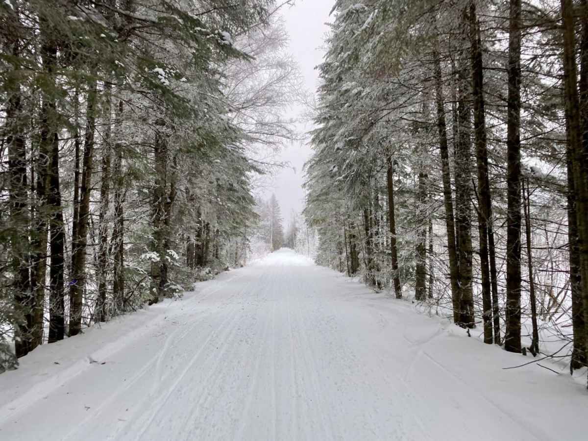 Gandy Dancer Trail trail photo