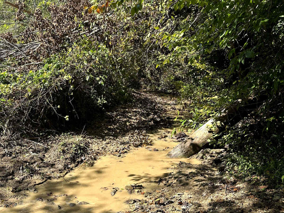 County Park Road trail photo