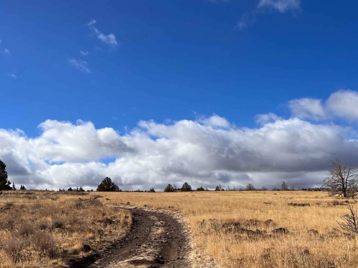 Three Springs Road trail photo