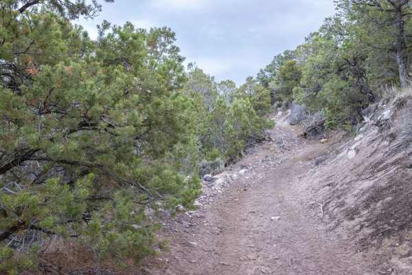 Teah Flat Trail
