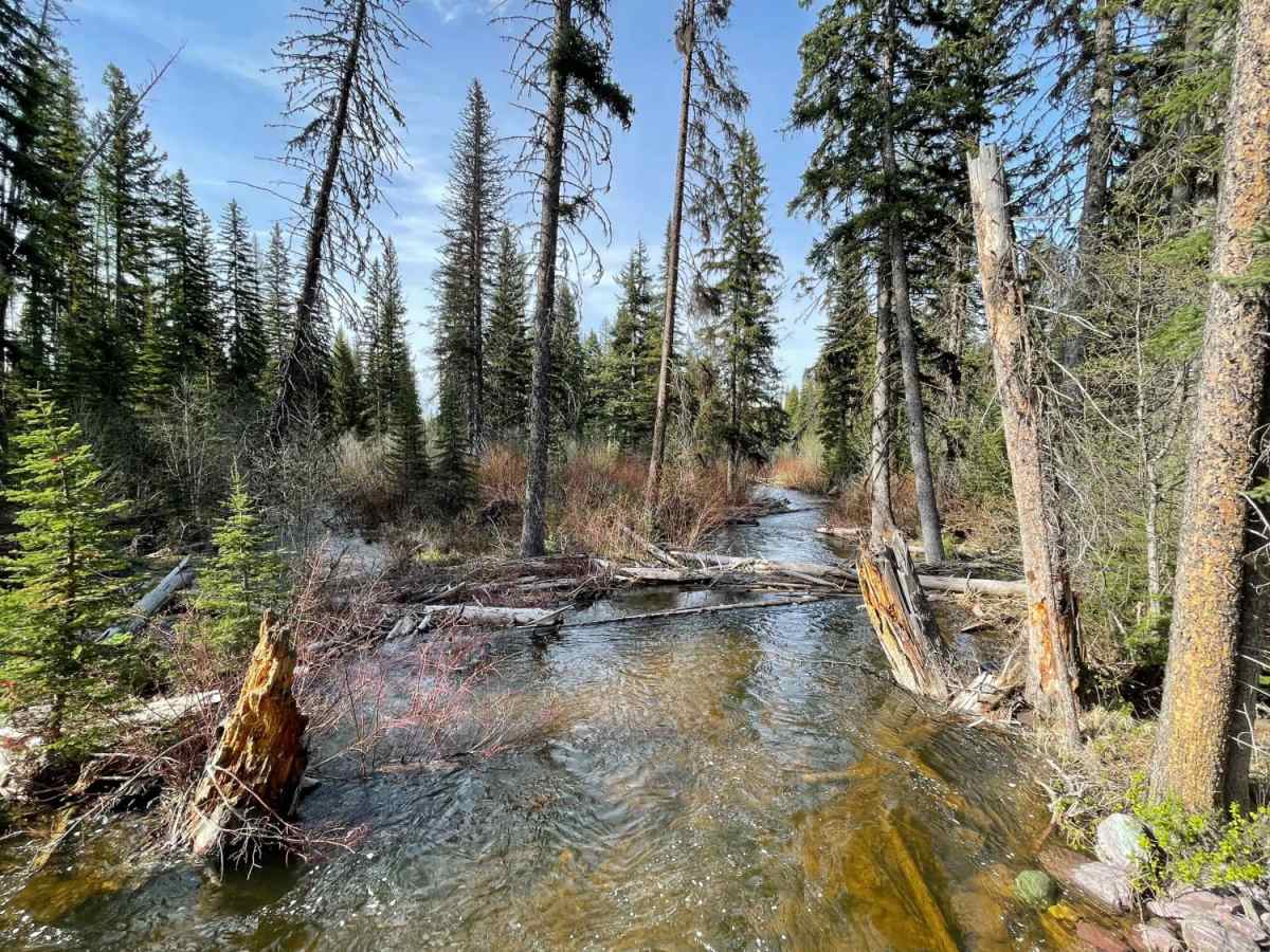 Beaver Creek Trailhead trail photo