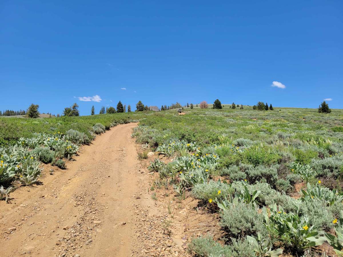 Hawkins Peak Road photo 5