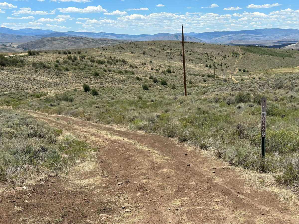Jensen Creek Road trail photo