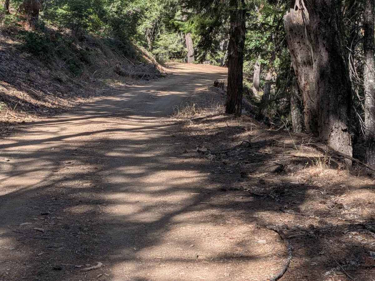 Friend Mountain Road - FS 2N15 photo 5