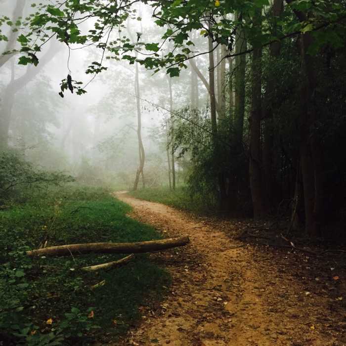 Near Morning Choice Loop