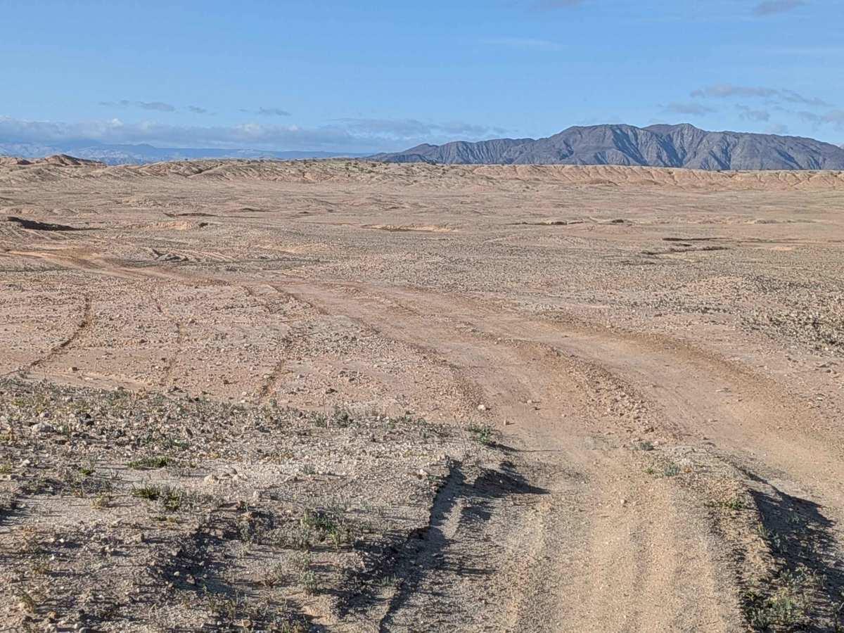 BLM 324 photo 2