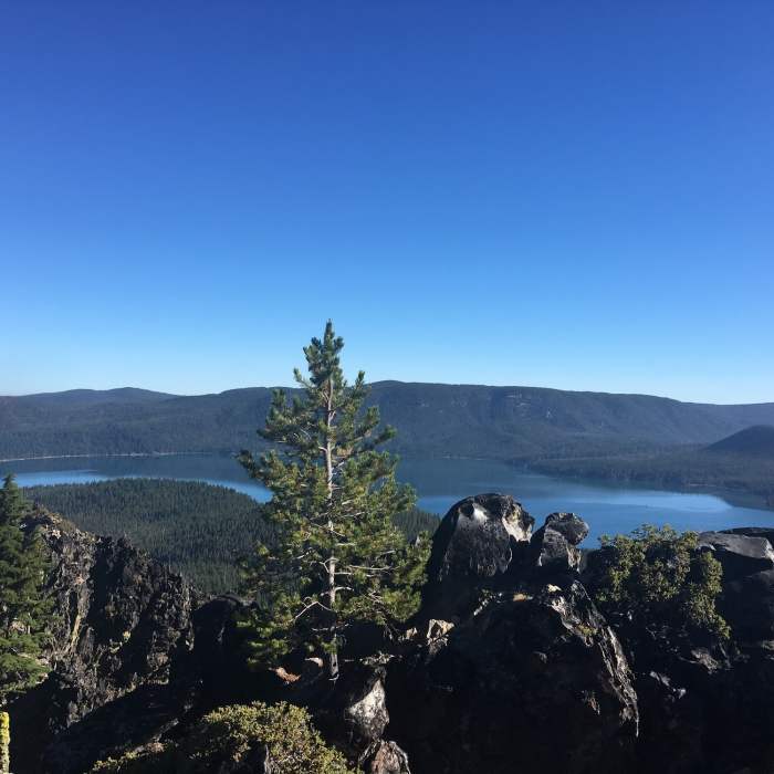 Near Crater Rim Trail #3957