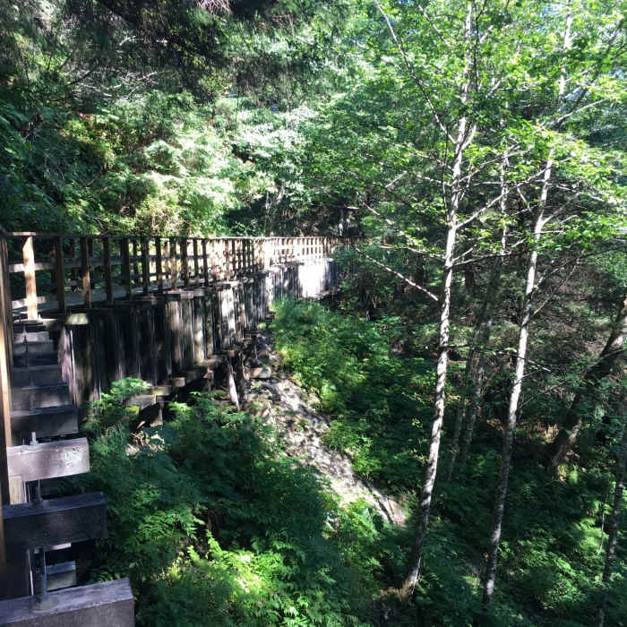 Near Gold Creek Flume Trail