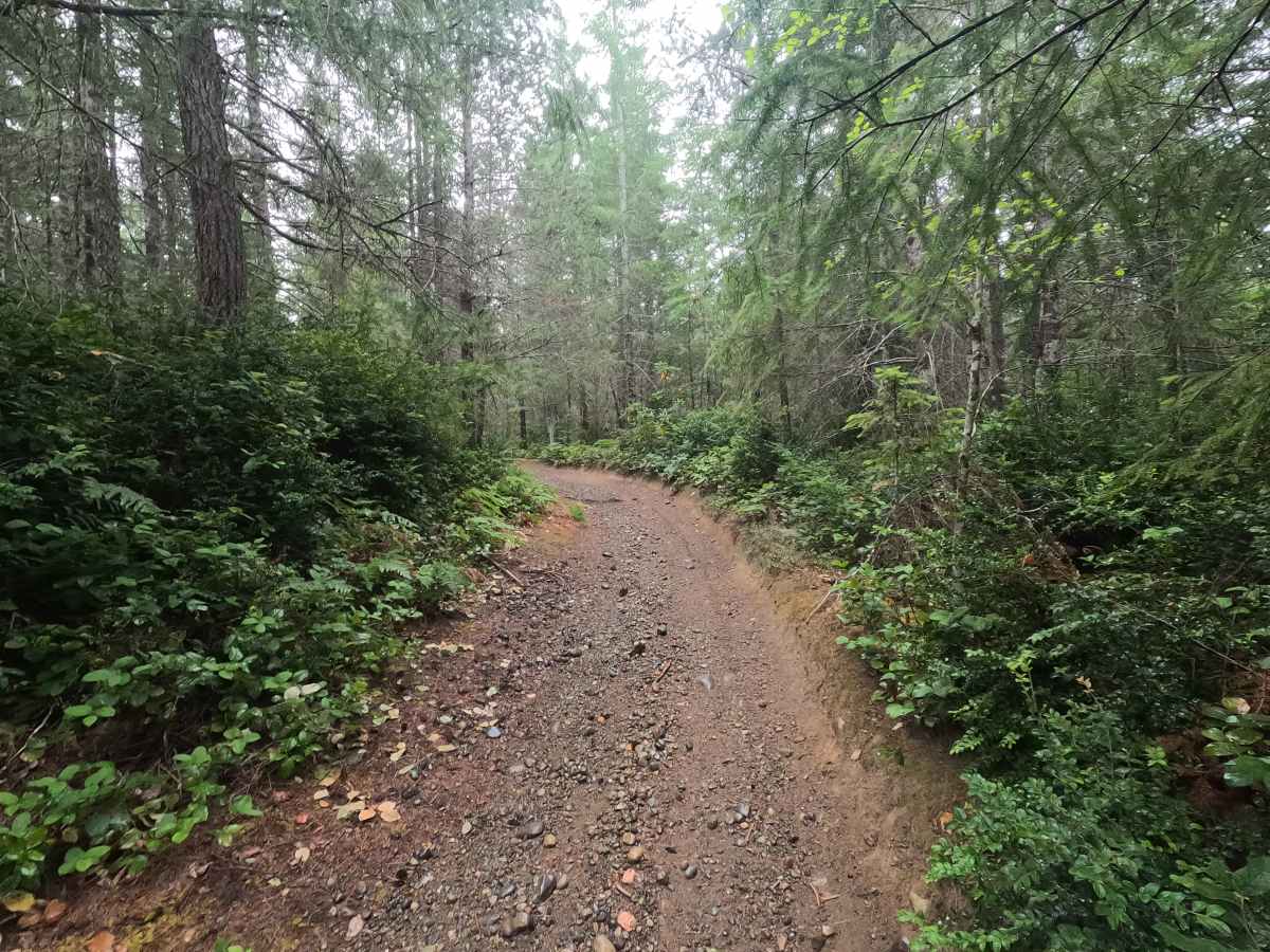 Howell Lake Loop photo 5