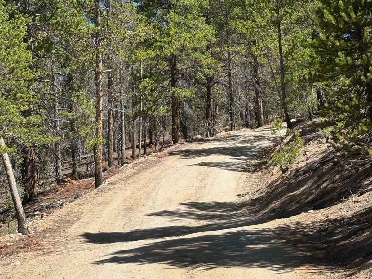 Bear Lake Road photo 4