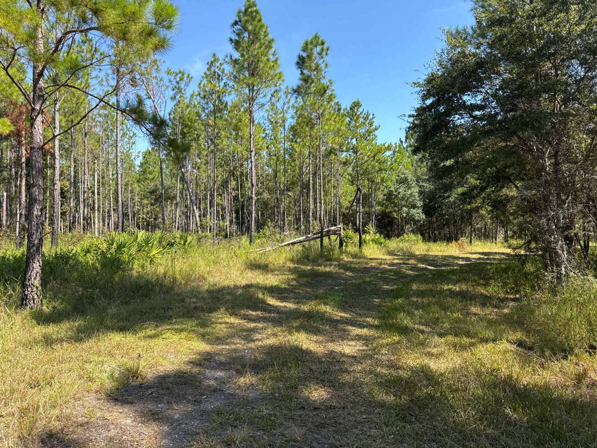 Boundary Loop photo 5