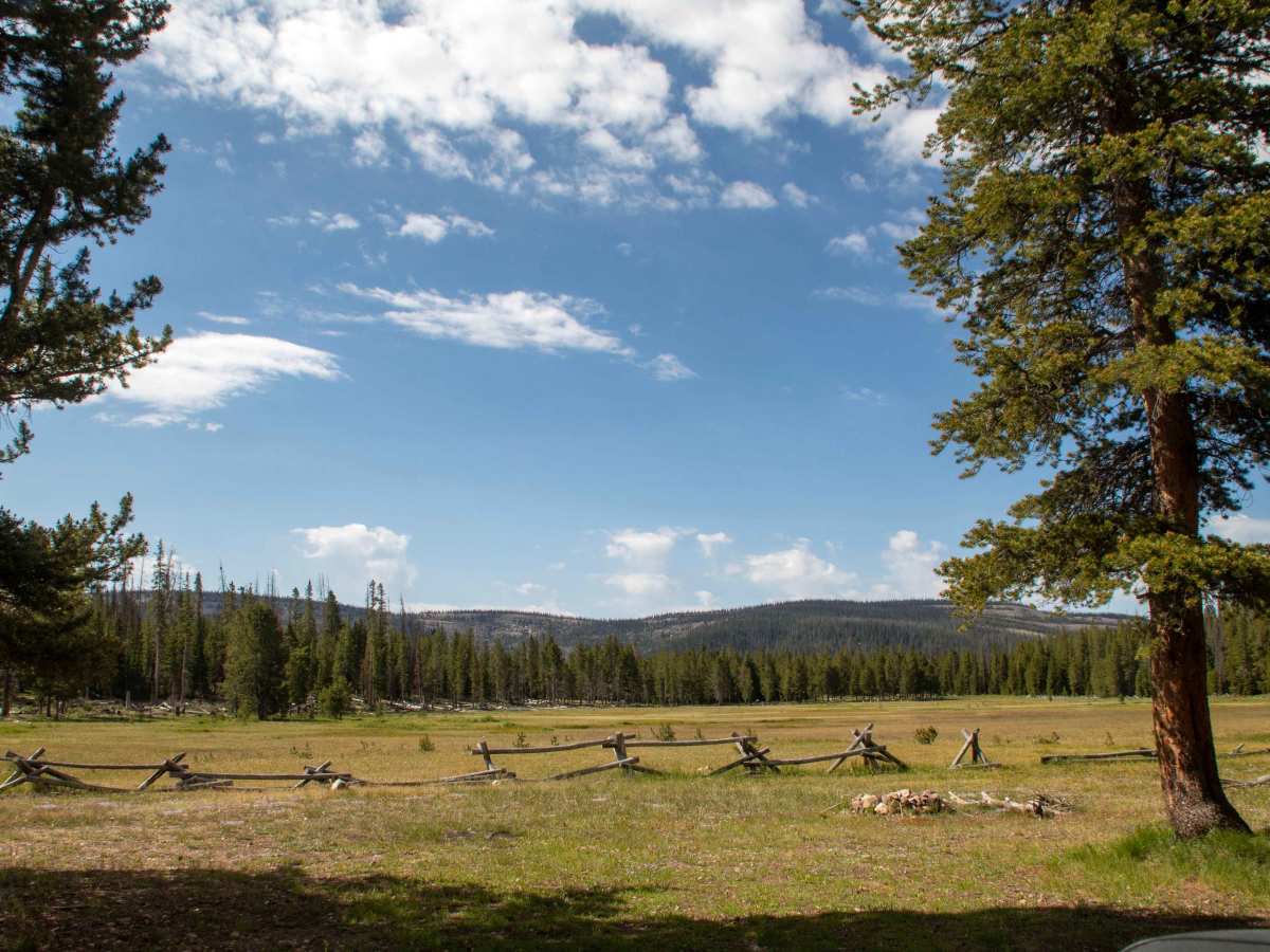 Broadhead Meadows - FS 80416 trail photo