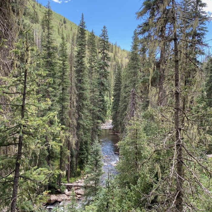 East creek from west side. Near Cascade Creek Trail #510