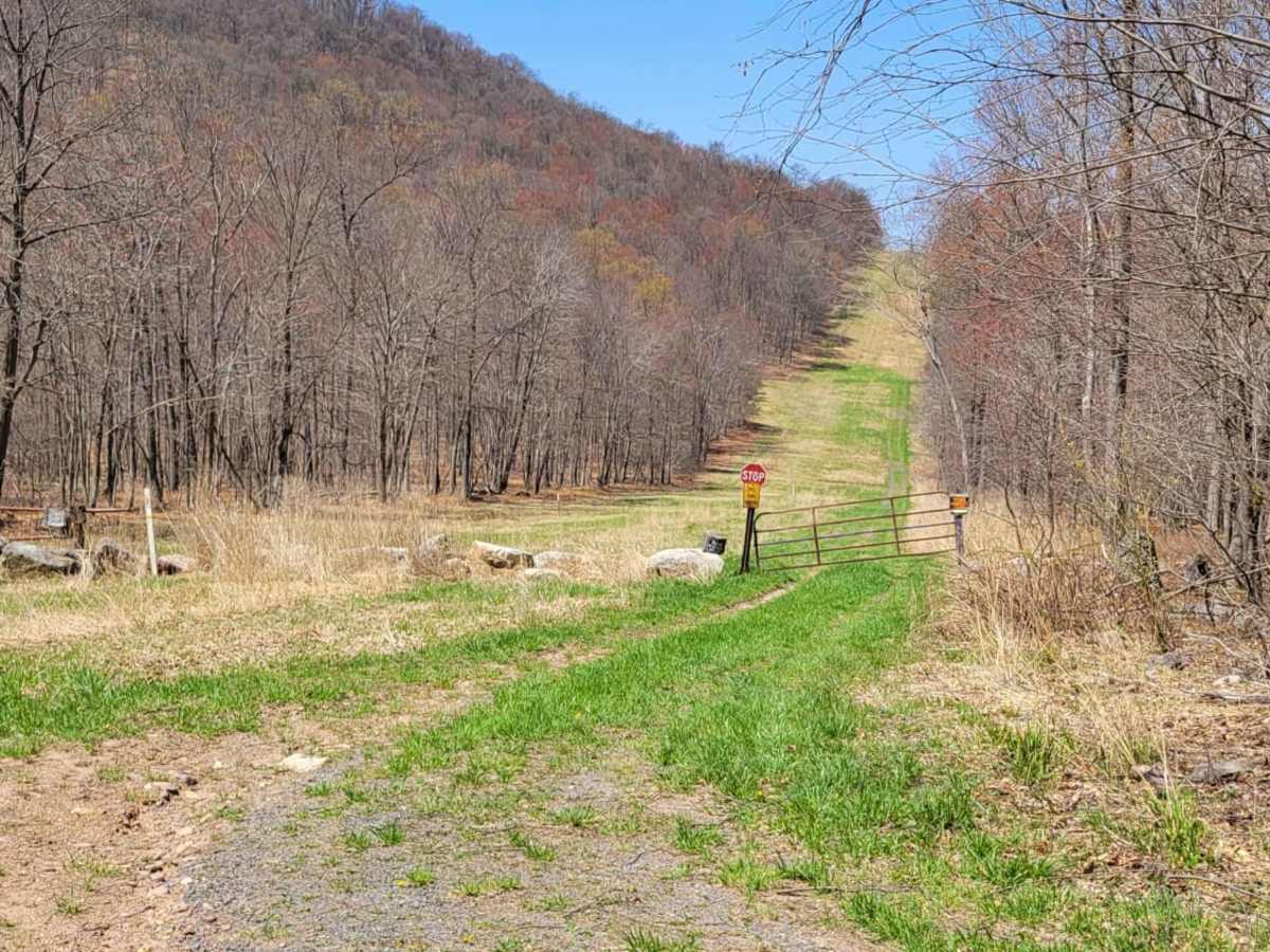 West Longfellow Trail photo 5