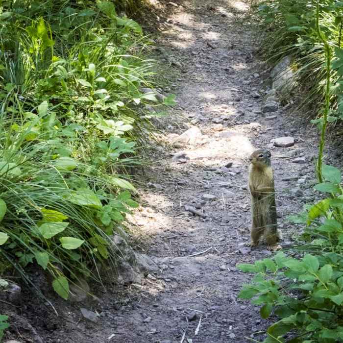 Near No Name Lake Hike