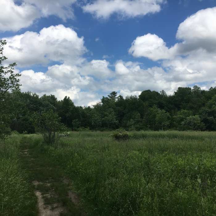 Oak Ridge Trail | Hiking Trail Maps, Difficulty, Trail Status | onX