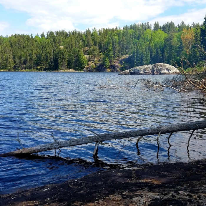 Near National Parks Marathon Project - Voyageurs National Park