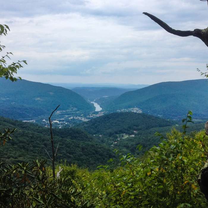 Near Butternut Trail