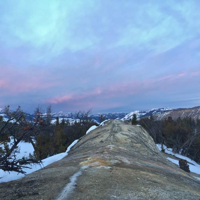 Near Upper Terrace Loop Ski Trail