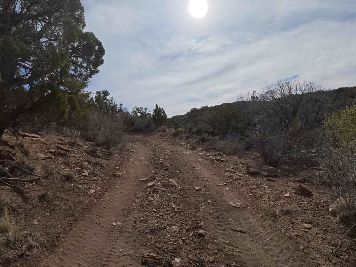 BLM 282 photo 3
