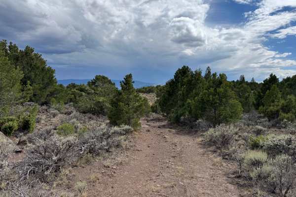 Trailhead Road