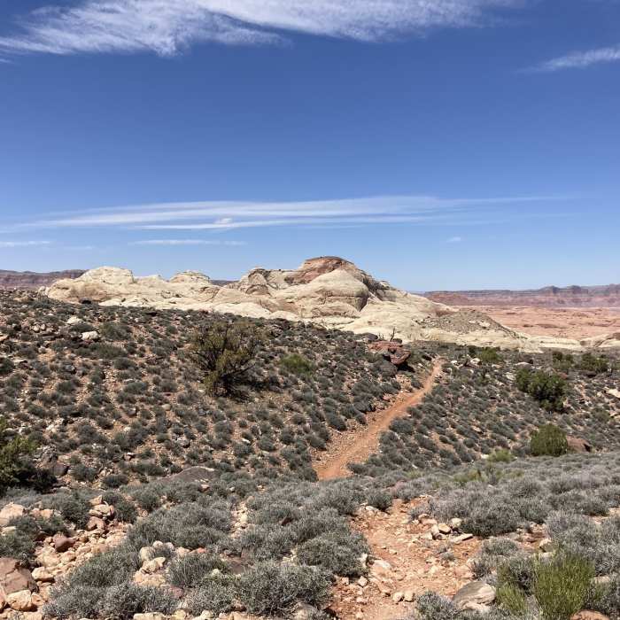 Near Navajo Mountain - Rainbow Bridge North Trail