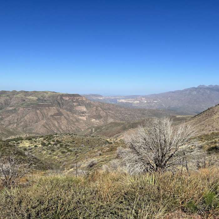 Near Two Bar Ridge Trail #119