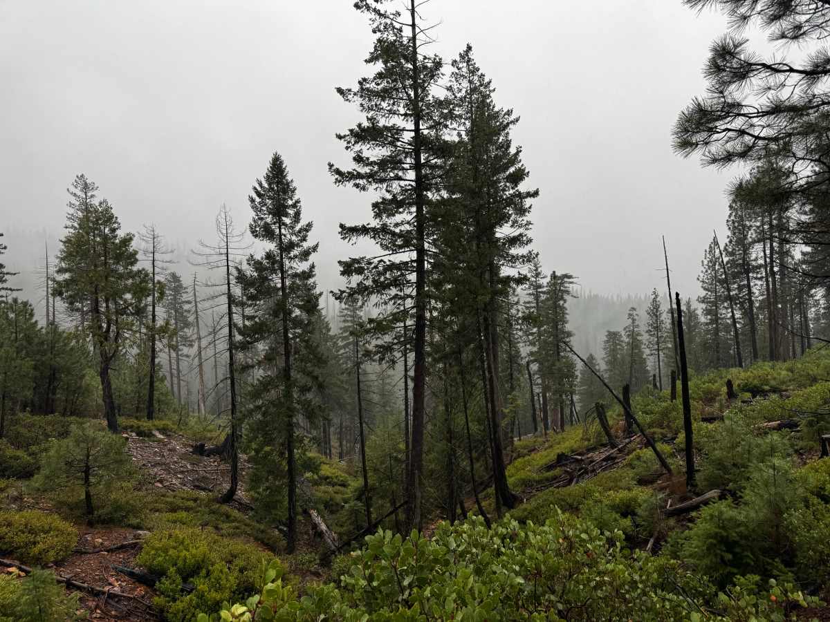 Ford Point Spur photo 3