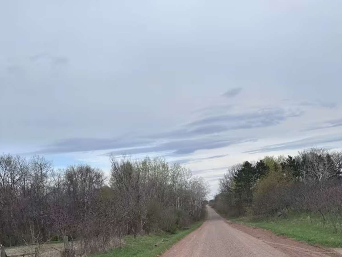 Chengwatana Forest Road trail photo