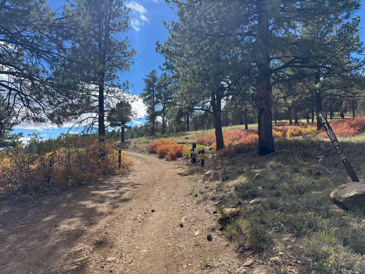 FS 416 trail photo
