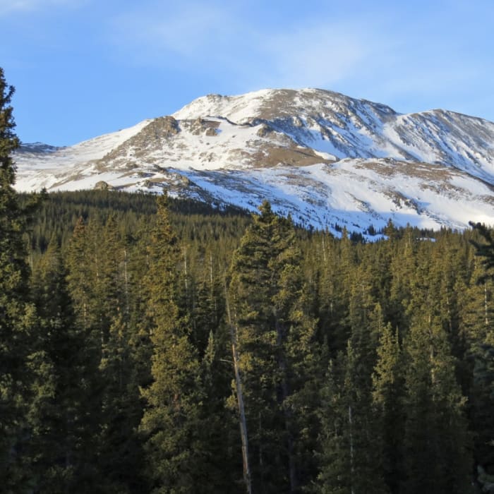 Near Mount Massive: East Ridge Near Mount Massive: East Ridge