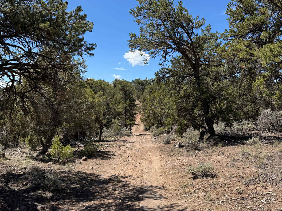 BLM 8473A trail photo