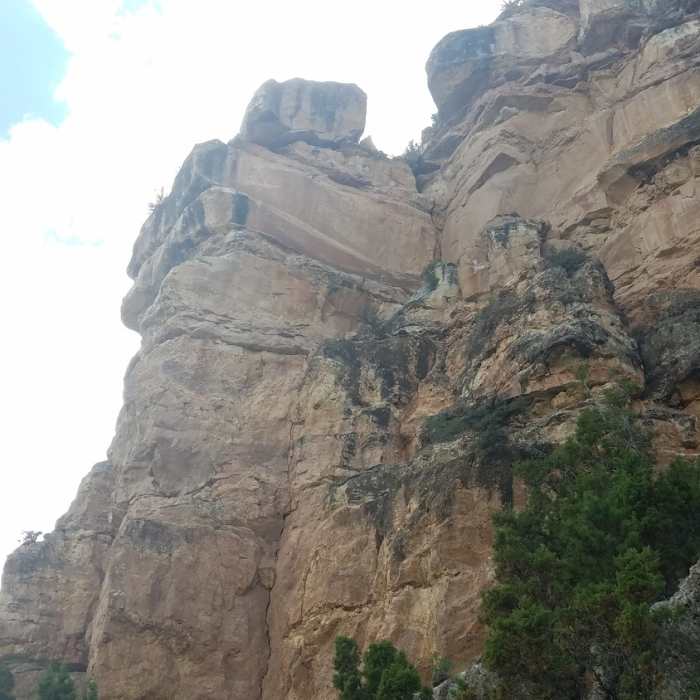 Near Salt Lick Loop Trail