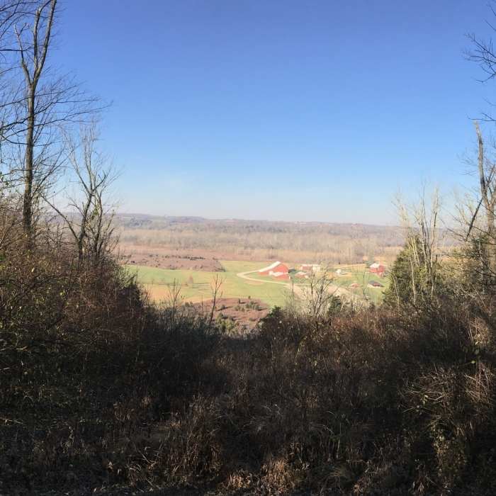 Valley Overlook off Woodland Trail Near Hisey Park Sampler Loop