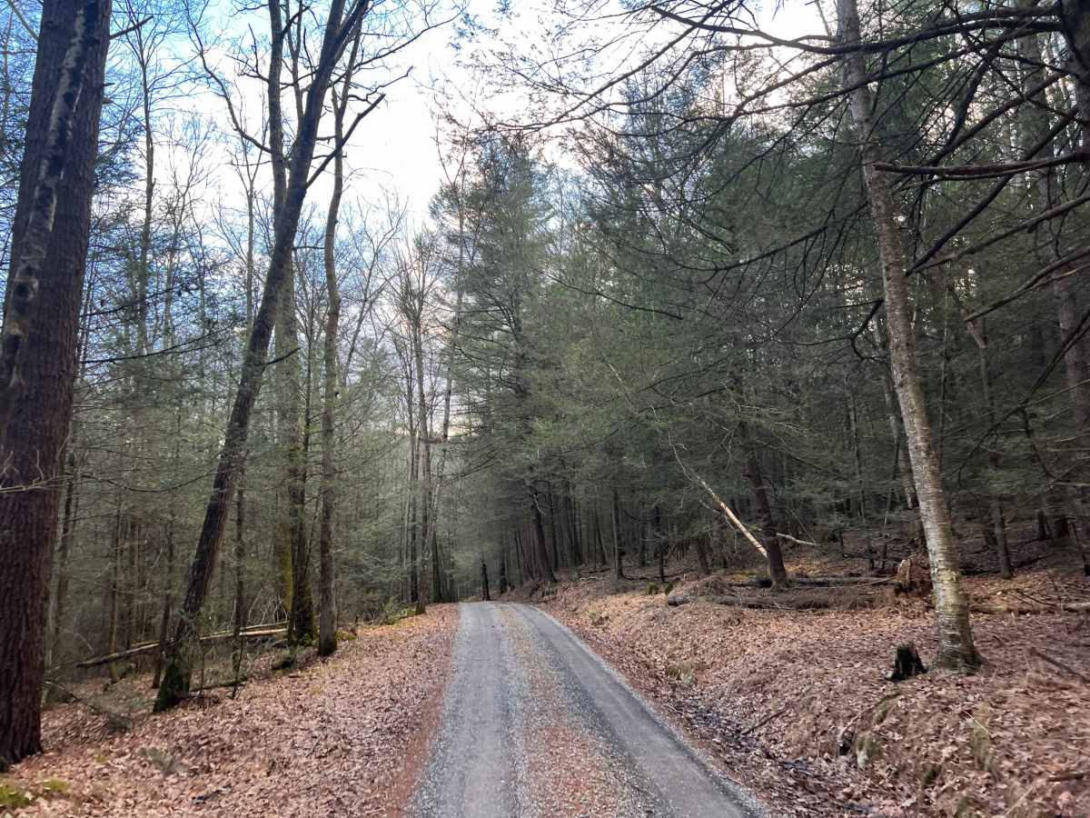 Sheesley Run Road photo 3