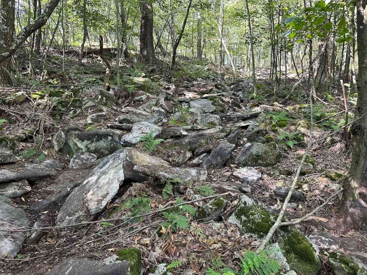 102 Green Spur photo 5